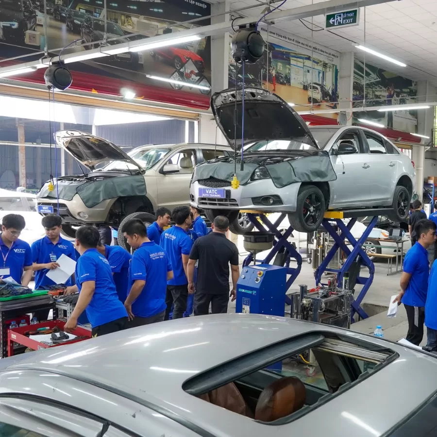 Sinh viên thiếu kỹ năng thực tế